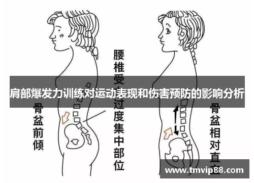 肩部爆发力训练对运动表现和伤害预防的影响分析